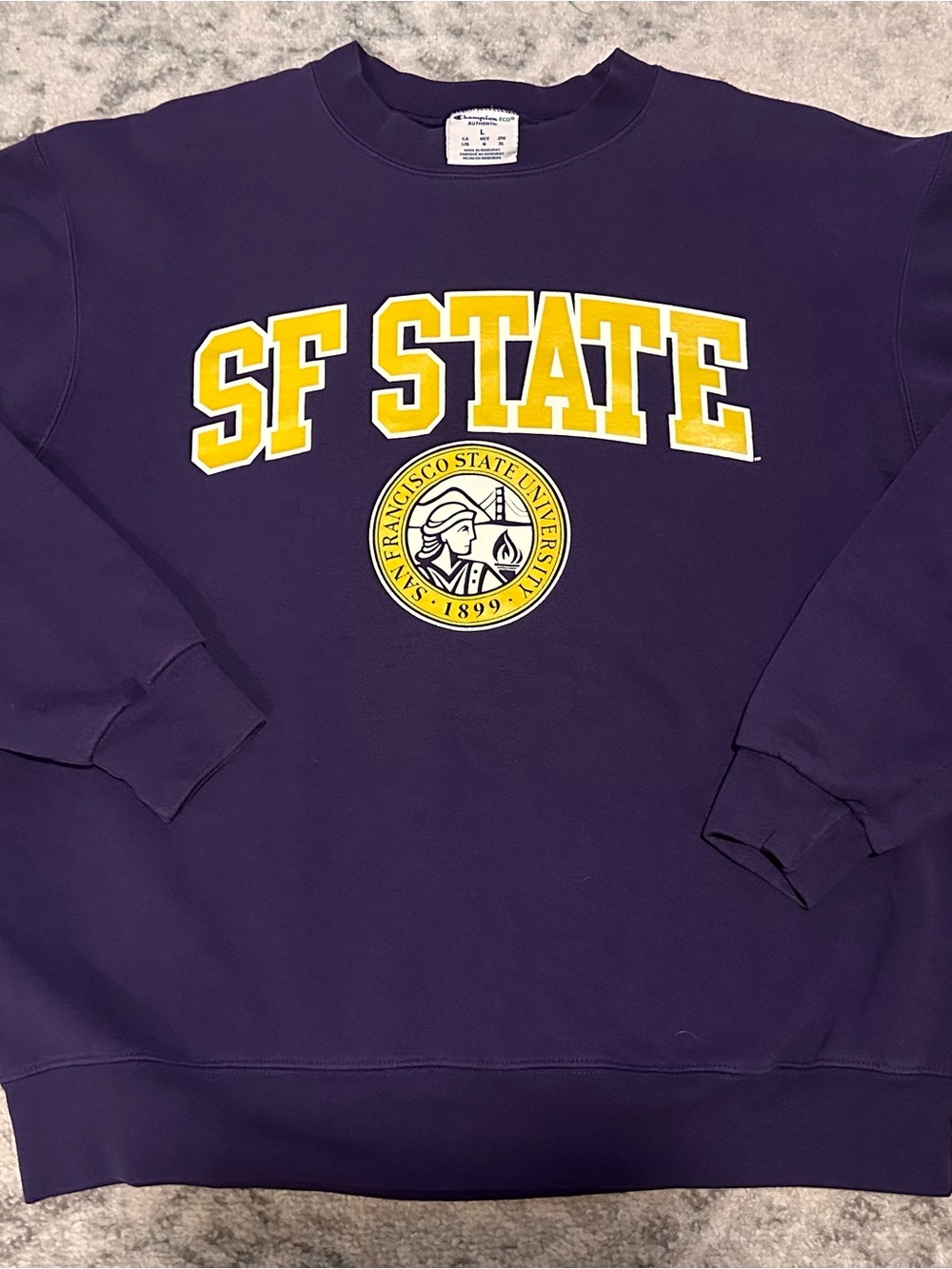 Champion Purple San Francisco State College Crewneck Size Large